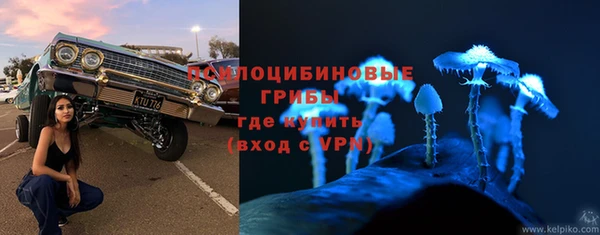 эйфоретик Кукмор