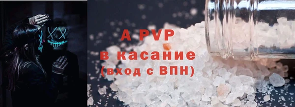 эйфоретик Кукмор
