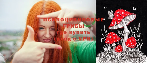эйфоретик Кукмор