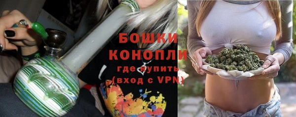 мдпв Кулебаки