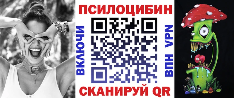 Галлюциногенные грибы Magic Shrooms  darknet Telegram  Тайшет  где можно купить наркотик 