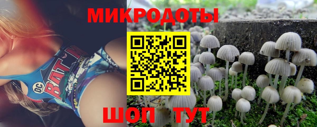 Псилоцибиновые грибы ЛСД  Вход с VPN  Тайшет  Галлюциногенные грибы Psilocybine cubensis 
