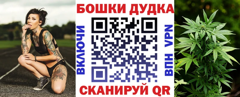 наркота  Тайшет  Шишки марихуана конопля 